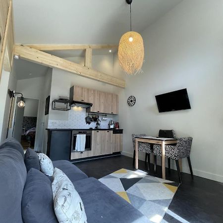 Ginkobiloba : Appartement Cosy En Coeur De Ville Bagnères-de-Bigorre Zewnętrze zdjęcie