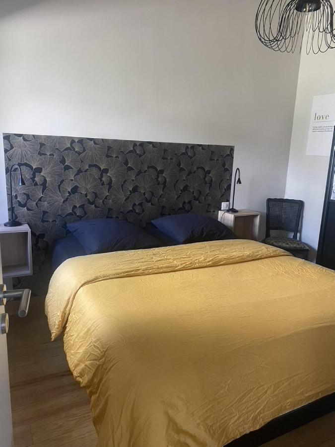 Ginkobiloba : Appartement Cosy En Coeur De Ville Bagnères-de-Bigorre Zewnętrze zdjęcie