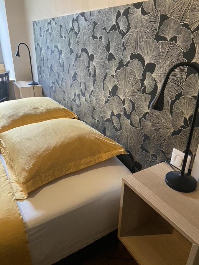 Ginkobiloba : Appartement Cosy En Coeur De Ville Bagnères-de-Bigorre Zewnętrze zdjęcie