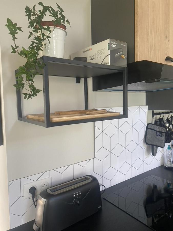 Ginkobiloba : Appartement Cosy En Coeur De Ville Bagnères-de-Bigorre Zewnętrze zdjęcie